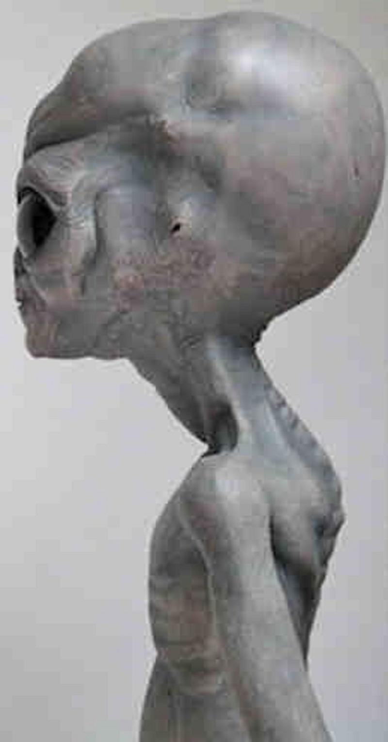 Alien Nutrition: What Do ETs Eat to Sustain Themselves?